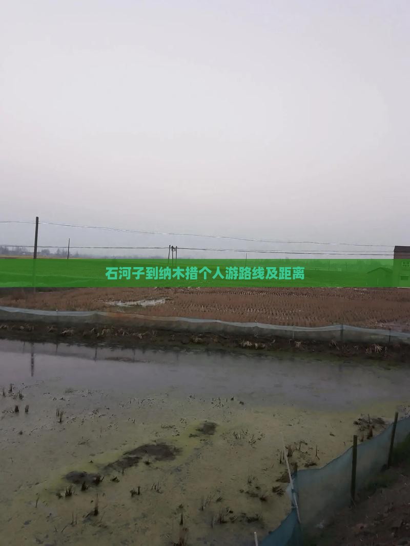 石河子到西藏纳木措个人游