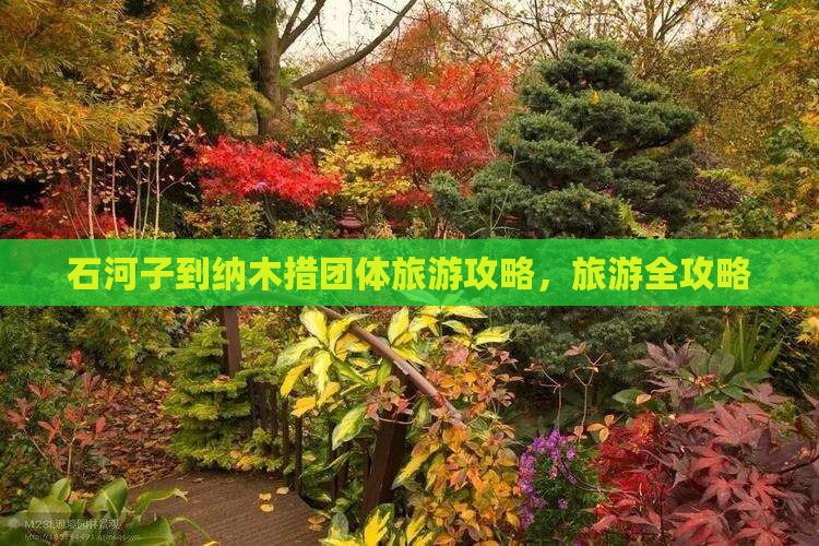 石河子到西藏纳木措团体旅游