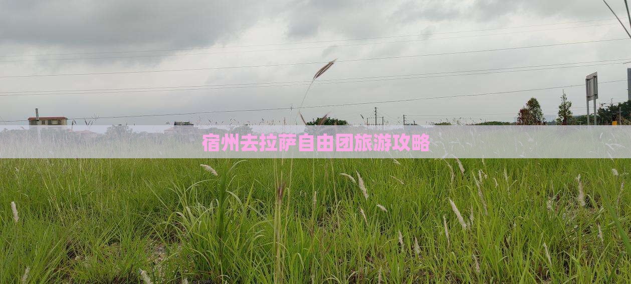 宿州去西藏拉萨自由团