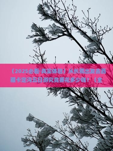 长葛到西藏卡定沟五日游
