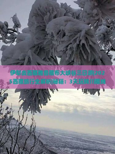 伊犁去西藏雅鲁藏布大峡谷三日游