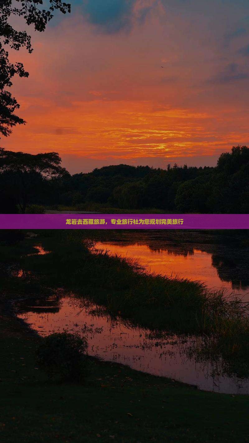 龙岩去西藏旅行社