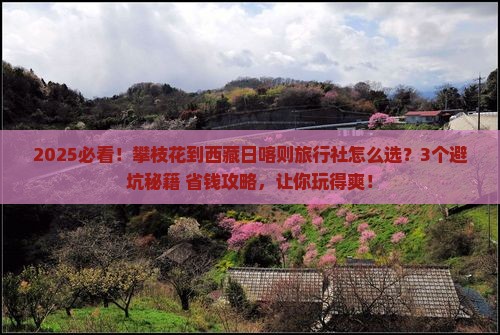 攀枝花到西藏日喀则旅行社