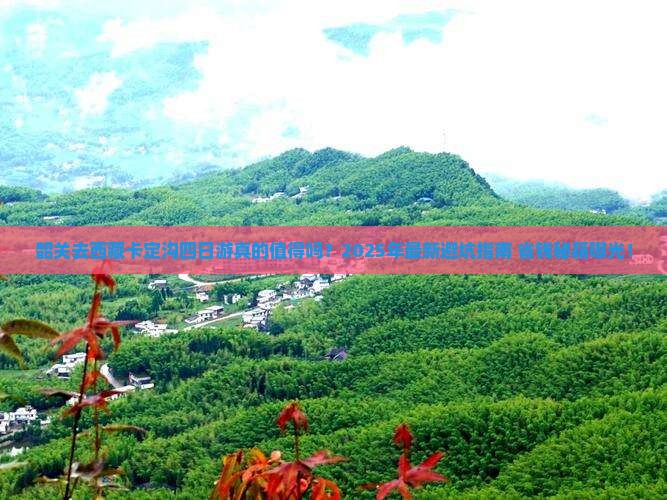 韶关去西藏卡定沟四日游