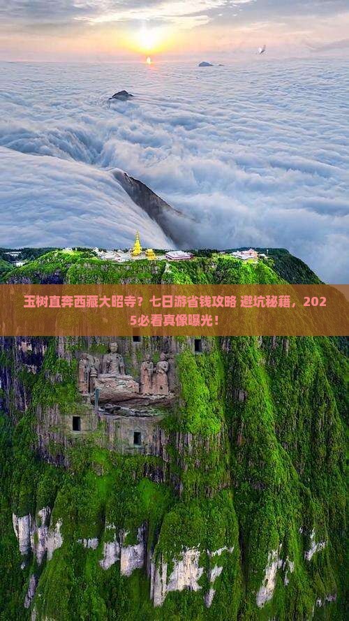 玉树到西藏大昭寺七日游