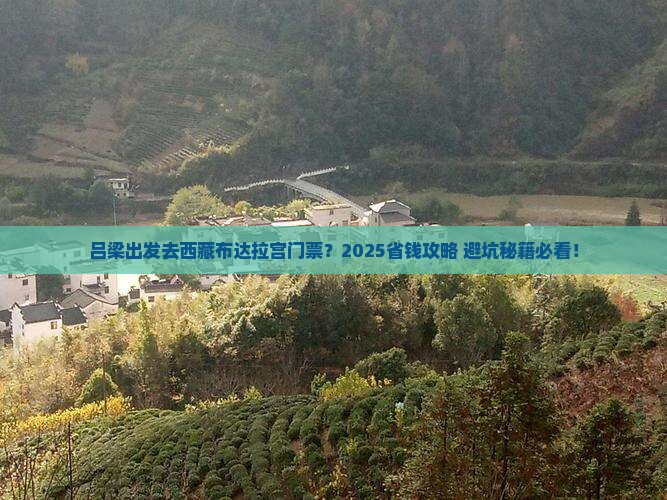 吕梁去西藏布达拉宫门票