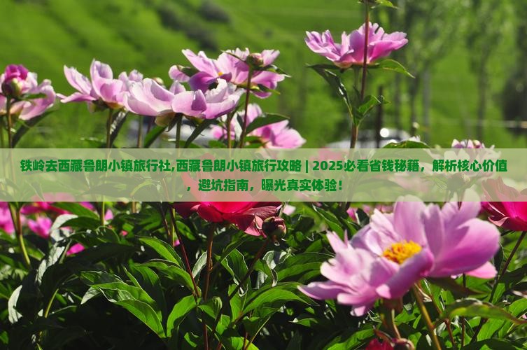 铁岭去西藏鲁朗小镇旅行社