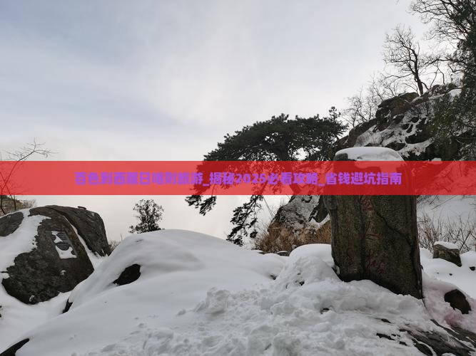 百色到西藏日喀则旅游