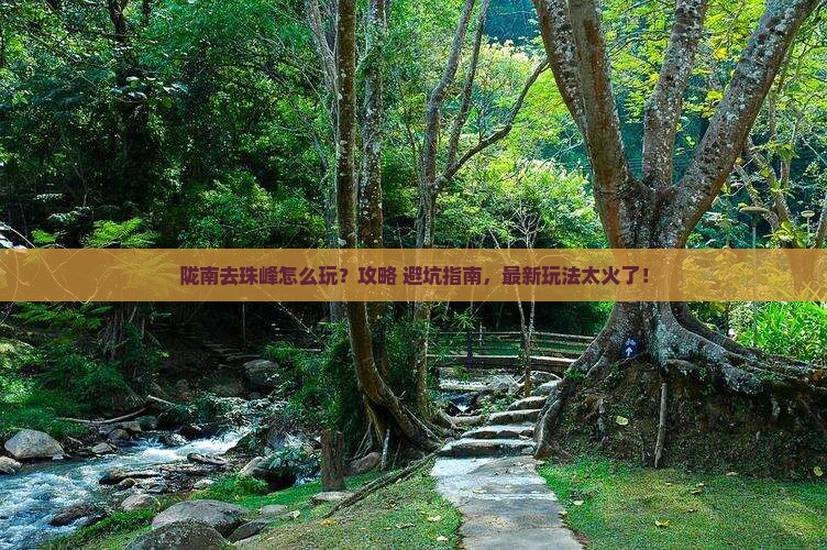 陇南去西藏珠峰大本营哪里玩