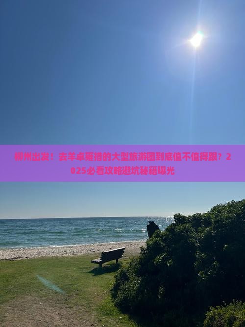 柳州去西藏羊卓雍措大型旅游团