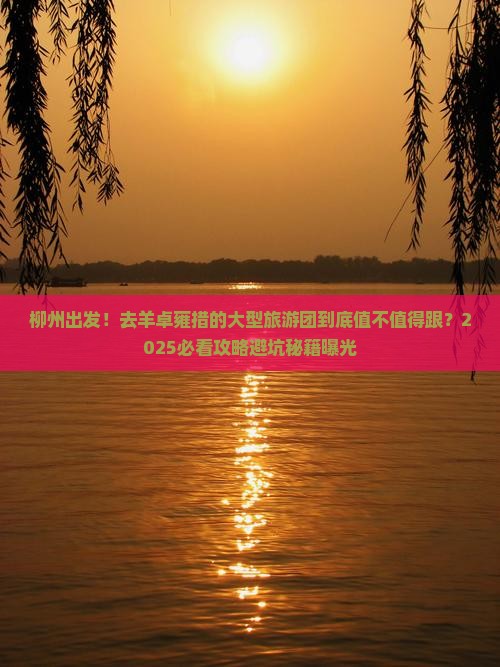 柳州去西藏羊卓雍措大型旅游团