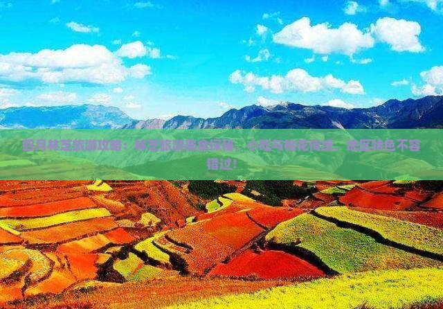 四月去西藏林芝旅游小吃