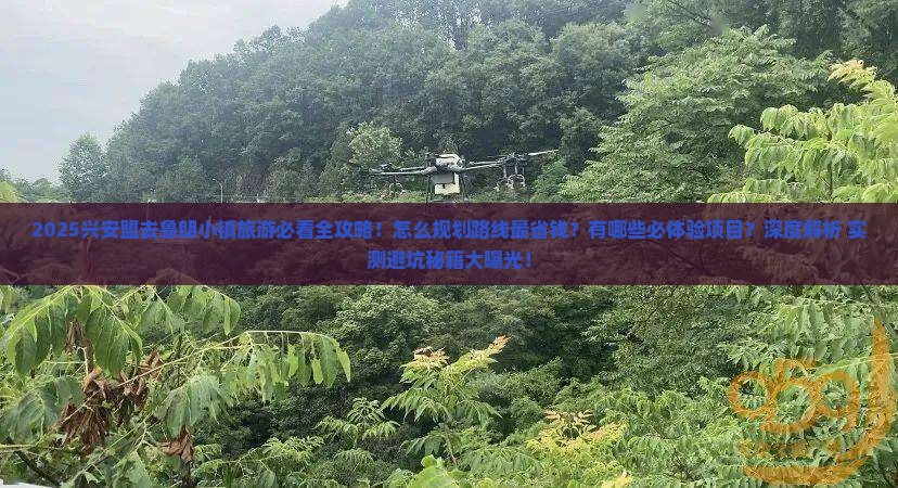 兴安盟去西藏鲁朗小镇旅游