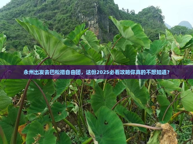 永州去西藏巴松措自由团