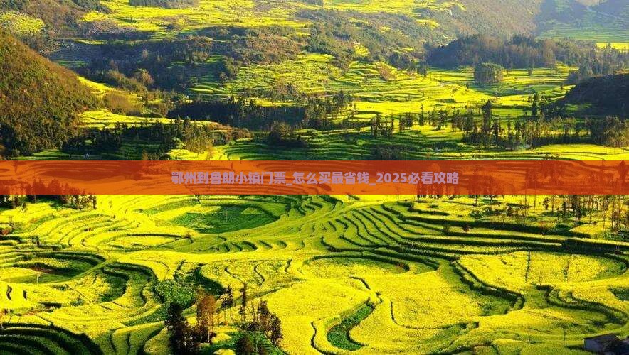 鄂州到西藏鲁朗小镇门票