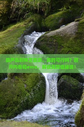 葫芦岛到西藏林芝旅游