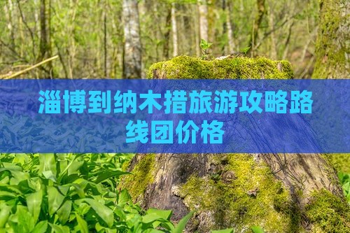 淄博到西藏纳木措旅游