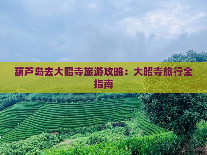 葫芦岛去西藏大昭寺旅行社