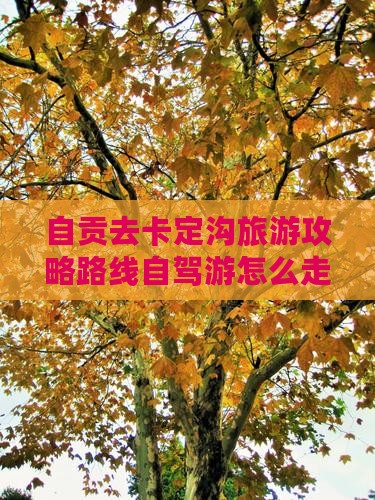 自贡去西藏卡定沟旅游