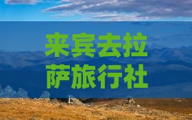 来宾去西藏拉萨旅行社