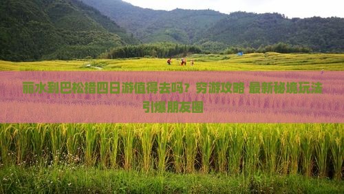 丽水到西藏巴松措四日游