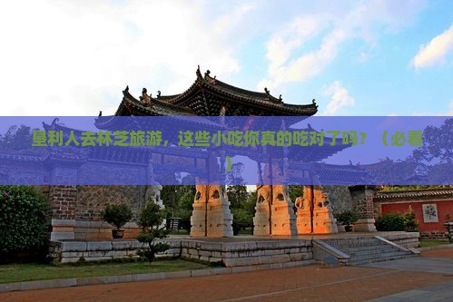 垦利去西藏林芝旅游小吃