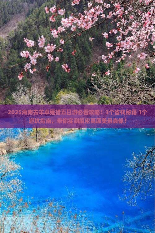 海南去西藏羊卓雍措五日游