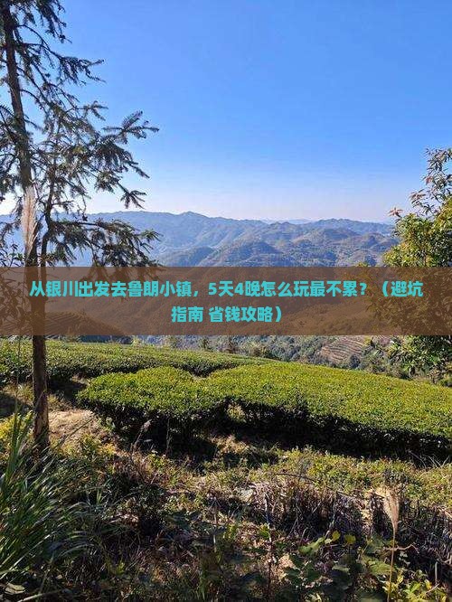 银川去西藏鲁朗小镇自由团