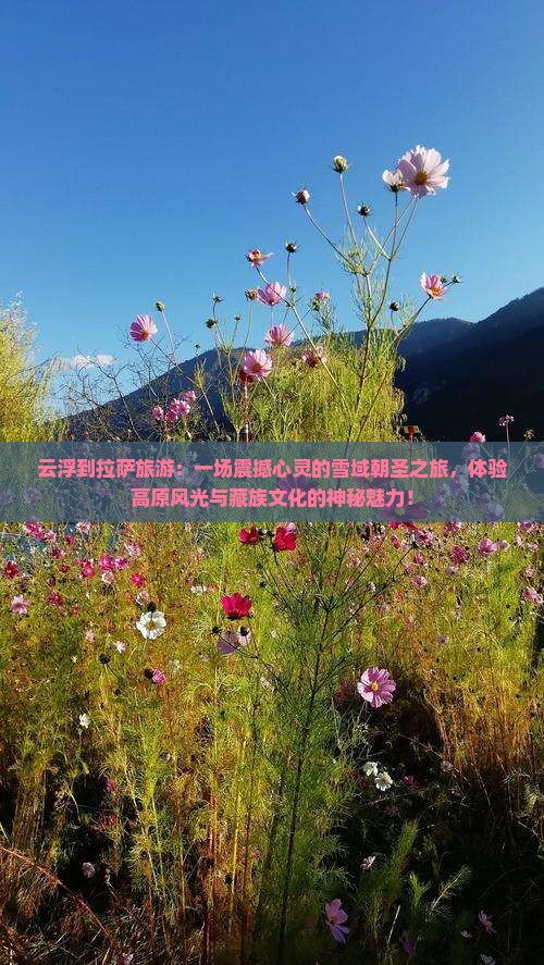 云浮到西藏拉萨旅游