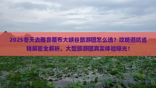 冬天去西藏雅鲁藏布大峡谷大型旅游团