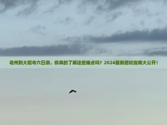 亳州到西藏大昭寺六日游