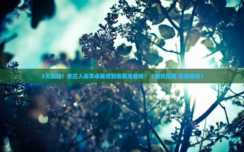 枣庄去西藏羊卓雍措攻略