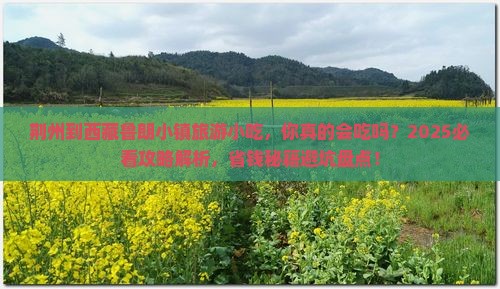荆州到西藏鲁朗小镇旅游小吃
