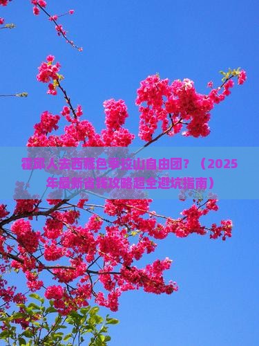 霍邱去西藏色季拉山自由团