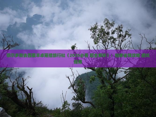 鄂尔多斯去西藏羊卓雍措旅行社