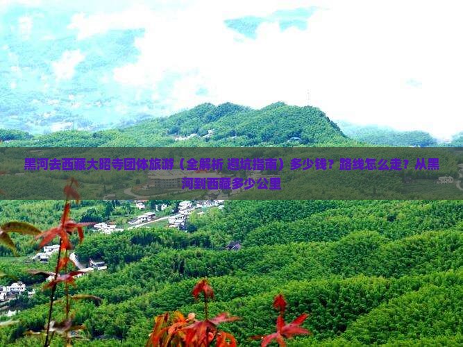 黑河去西藏大昭寺团体旅游