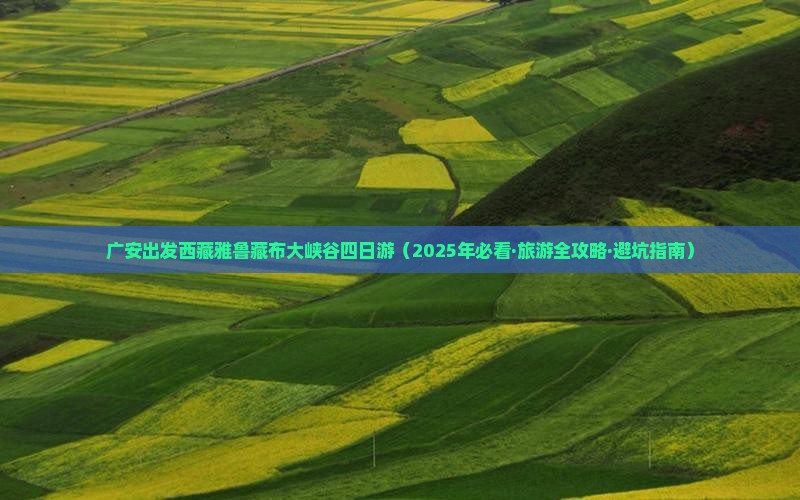 广安到西藏雅鲁藏布大峡谷四日游