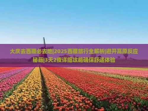 大庆去西藏必去地