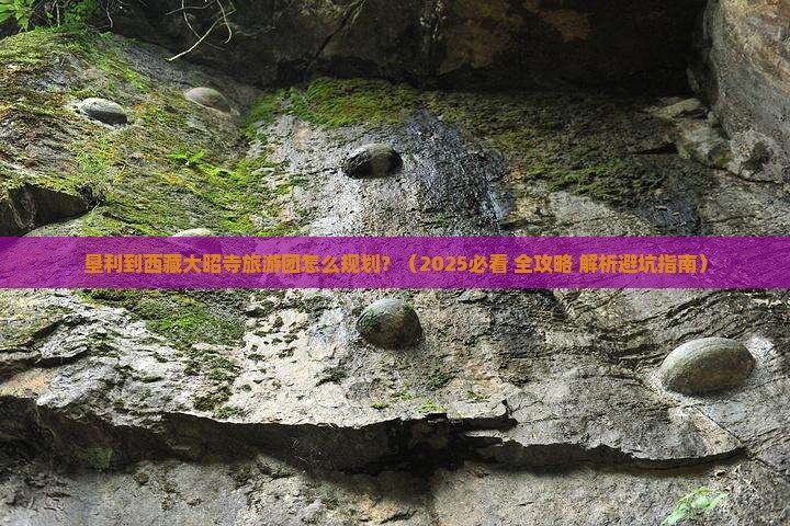 垦利到西藏大昭寺大型旅游团