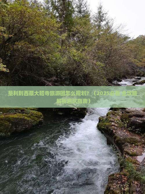 垦利到西藏大昭寺大型旅游团
