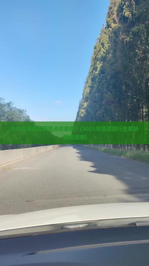 大丰去西藏拉萨景点