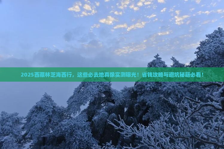 海西去西藏林芝必去地 海西去西藏林芝必去地