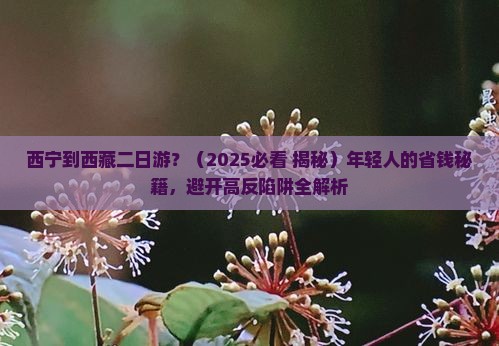 西宁到西藏二日游