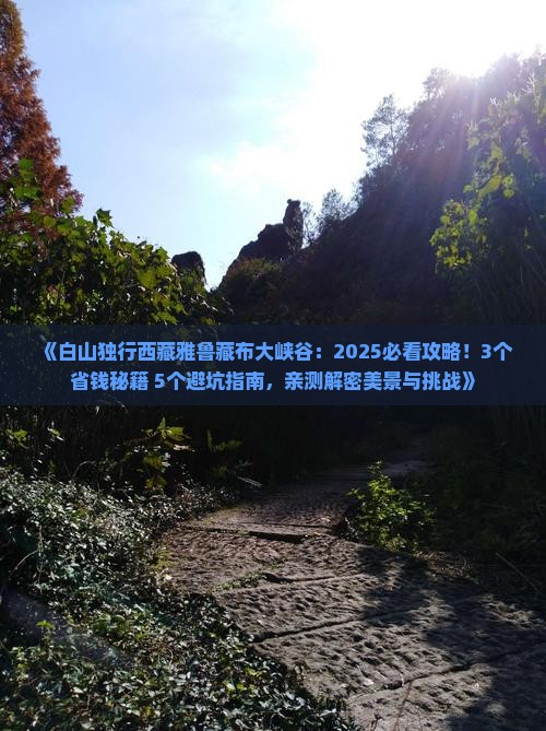 白山去西藏雅鲁藏布大峡谷个人游
