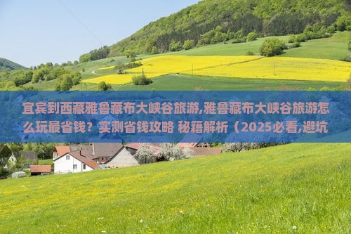 宜宾到西藏雅鲁藏布大峡谷旅游