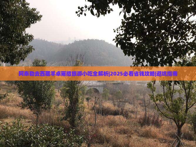 阿泰勒去西藏羊卓雍措旅游小吃 阿泰勒去西藏羊卓雍措旅游小吃