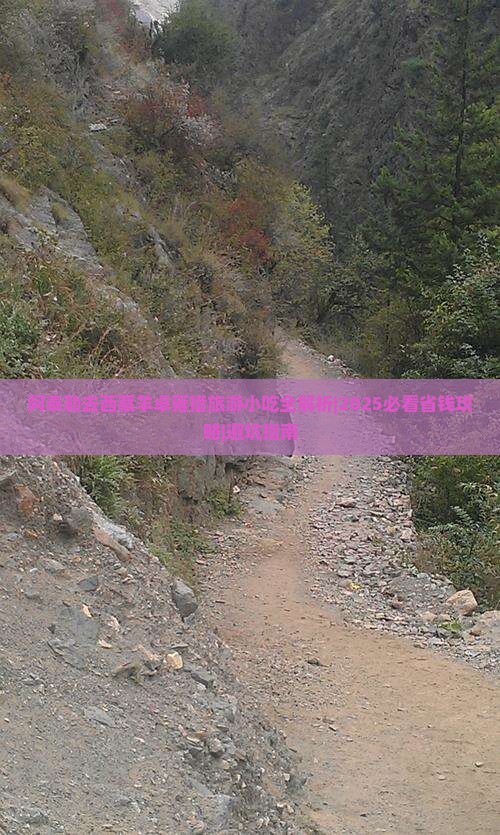 阿泰勒去西藏羊卓雍措旅游小吃 阿泰勒去西藏羊卓雍措旅游小吃