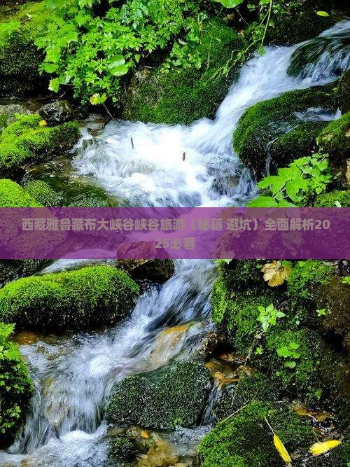 临夏去西藏雅鲁藏布大峡谷团体旅游