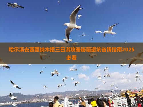 哈尔滨去西藏纳木措三日游