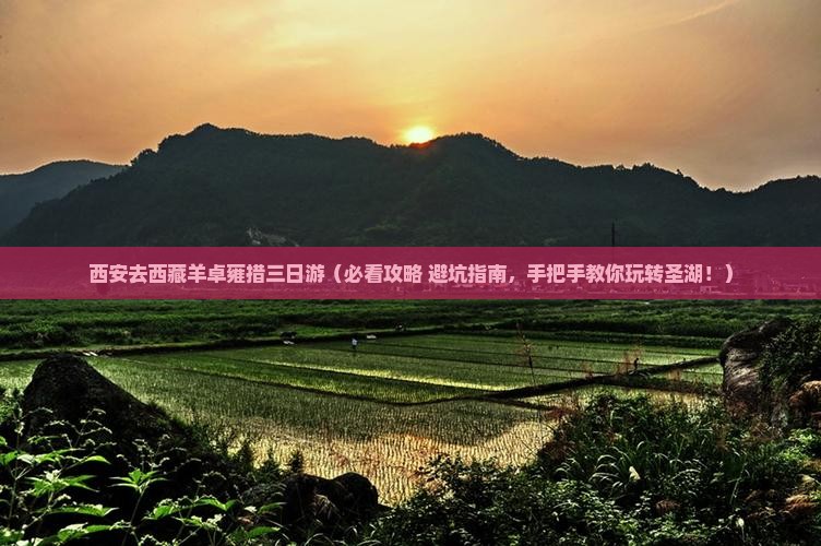 西安去西藏羊卓雍措三日游